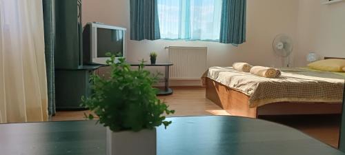 Mukachevo Apartment | VIP Apartments in the Centre