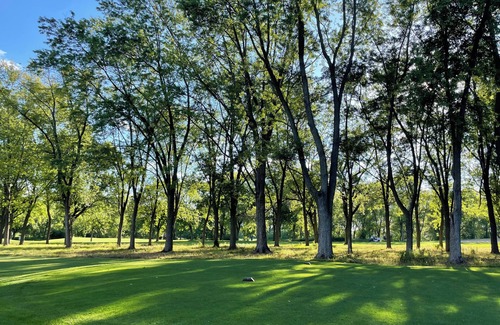 Forestview House | Visit Chicago stay in quiet suburb. Tranquil 2-bedroom house in Lombard.