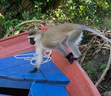Kibuye Other | Visit Lake Kivu Boat tours & Adventure