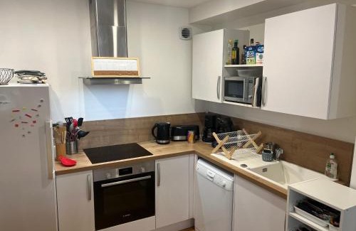 Anatole France Danton Apartment | Vivez en Duplex plein centre ville