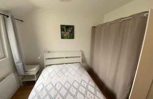 Anatole France Danton Apartment | Vivez en Duplex plein centre ville