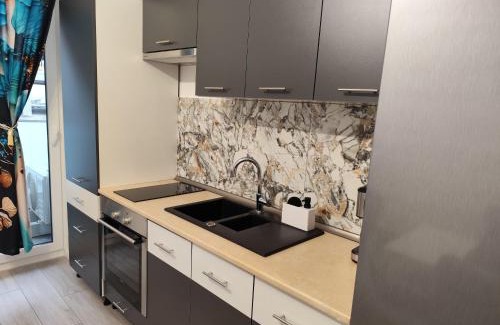 Baia Mare Apartment | Vivien Residence