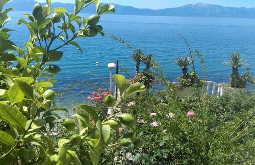 Gradac Apartment | Vrisak Veli in Brist