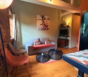 Saint-Cyr-au-Mont-d'Or Apartment | Vue, charme, calme Duplex cosy à 10 min de Lyon