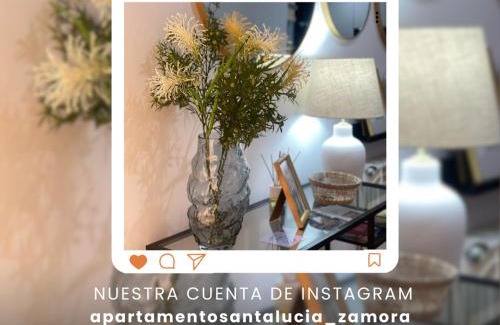 Zamora Apartment | VUT Santa Lucía