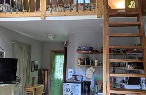 Asheville House | W Avl Tiny Home, Pet Friendly, Close to Downtown