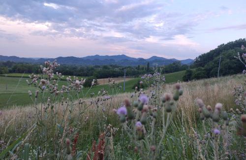 Cavaso del Tomba House | W la stanza