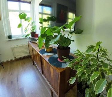 Srebrna Gora Apartment | W Starym Stylu