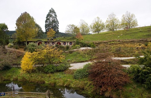 Waitomo Caves House | Waitomo Woodlyn Park Hobbit Guest House