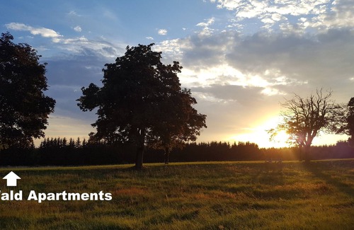 Frauenwald Apartment | Wald Apartments - Thuringian Forest - Comfort room with shared kitchen