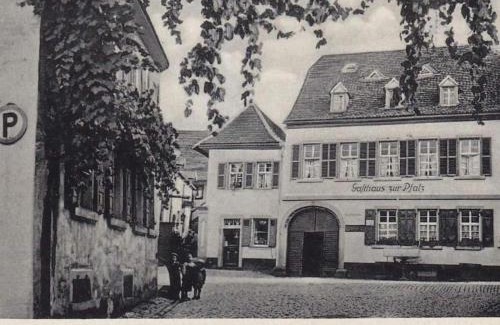Neustadt-Hambach Apartment | Waldblick