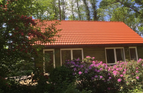 Viehland Apartment | Waldhaus - Ferienhäuser Ohlenbusch