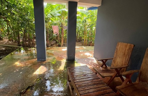 Nungwi Hotel | Walk in the jungle of bananas and have the oxygen of your life