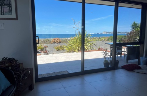 Napier House | Walk on Waterfront & big views define this newly renovated Beach House. Pets OK