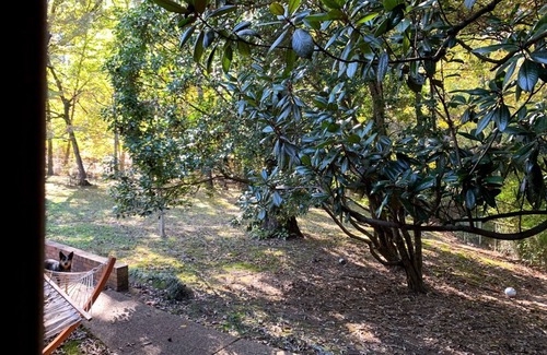 Oxford House | Walk to Campus, Minutes to Square: Entire Home w Spacious Yard, Pet-Friendly!