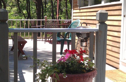 Wellfleet Cottage | Walk to Ocean Beach, Nat'l Seashore, WiFi, Bike Rail Trail