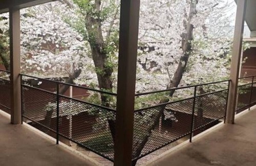 Athens Apartment | Walk to Sanford Stadium/DT w/view Dawg Friendly!