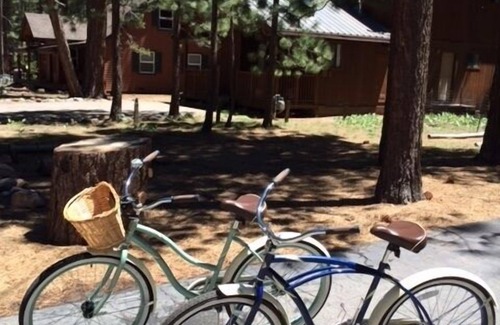 Bijou Pines Cabin | Walk to the LAKE! “Naughty but Nice" Knotty-Pine Cabin