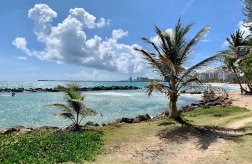 Punta Las Marias Apartment | Walking Distance To Beach Pool Pet Friendly