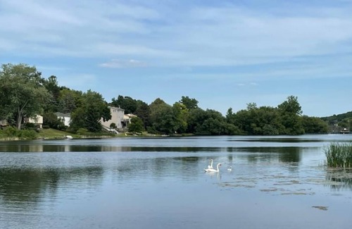 Lake Orion Apartment | Walkout Basmt Apt in Lake Orion