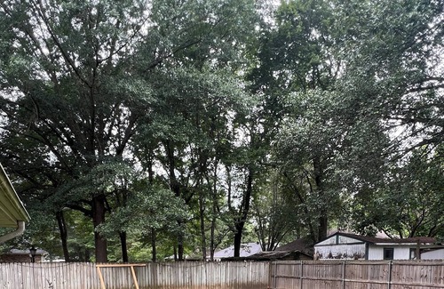 Cabot House | Warm and welcoming Cabot home. 15 minutes from Little Rock Air Force Base
