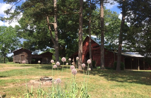 Albemarle House | Water Fasting Retreat. Expertise in Fasting!
