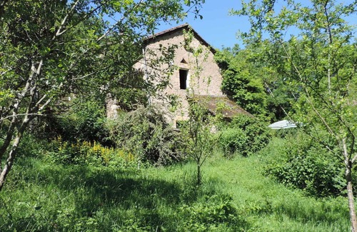 Sonnac Cottage | WATER MILL OF THE 18th CENTURY LOOKING FOR ITS MEUNIER