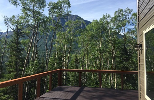Cooper Landing House | Water view! Cooper Landing, WiFi! View of lake and River!5 Private acres.