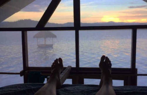 Tierra Oscura Cabin | Waterfront Dolphin Pod - Bocas' best snorkeling!