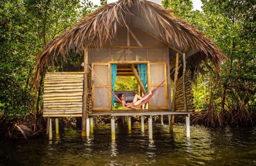 Tierra Oscura Cabin | Waterfront Dolphin Pod - Bocas' best snorkeling!