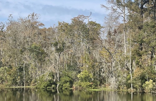 River Bend House | Waterfront Cozy Casita near historical Newbern on the Neuse River