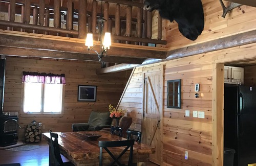 Rockwood Cabin | Waterfront Log Cabin With Private Dock And Game Room
