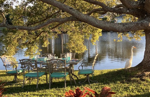 Aloha Gardens House | Waterfront near Tarpon Springs