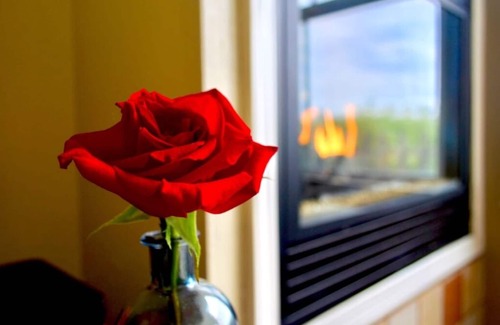 Moss Landing Apartment | WaterVeiw - 2-person Shower - Fireplace
