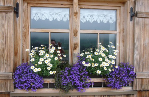 Oberstaufen Apartment | We are a partner of the "Oberstaufen-Pluskarte". See O'Staufen Plus Card