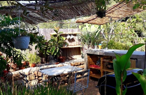 Sa Castangia Other | We Are a real Farm&Guesthouse at 20 min from the Costa Smeralda Beaches