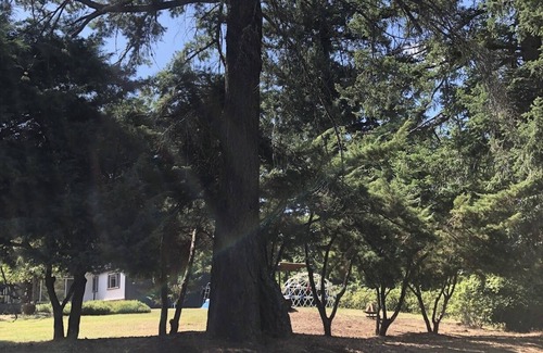 Pleasant Valley House | Wedding/Event 7 acre MCM Main house, 4 cabins, Bunkhouse IG astroranchpdx
