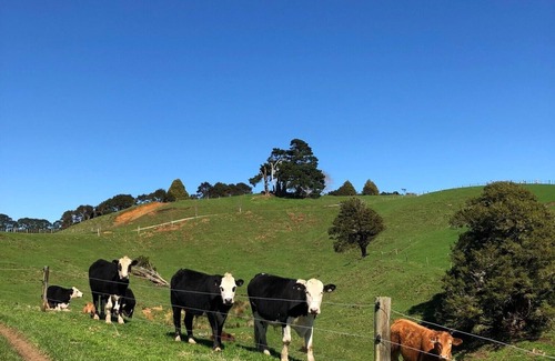 Te Akau Cottage | Weekend getaway - Farm cottage