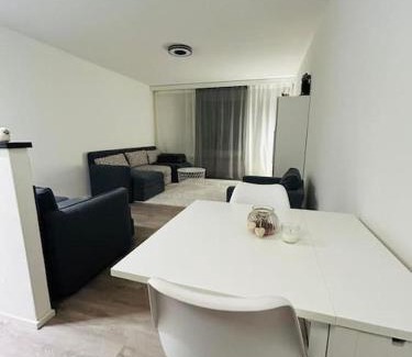 Meierhof Apartment | WEF apartment Perla Kongress