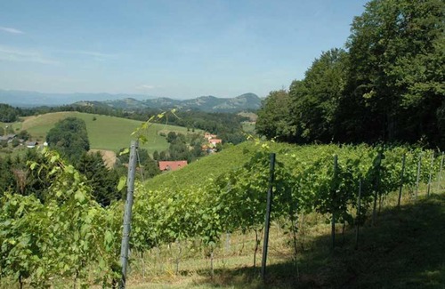 Heimschuh Cabin | Weingut Schatz