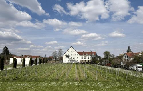 Mußbach Apartment | WeinZeit13