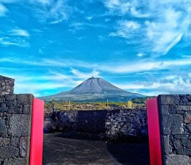 Madalena Apartment | Welcome Pico
