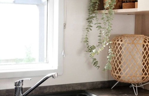 Bosgebied Hoenderloo House | Welcome to Beach Forest I Unwind at the Veluwe