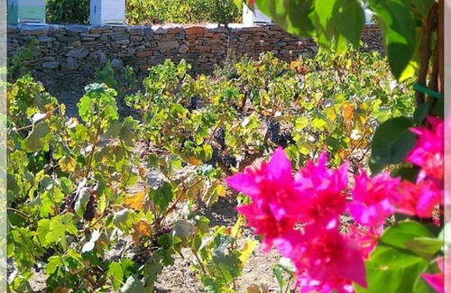 Kea Hotel | Welcome to La Maison Vert Amande.