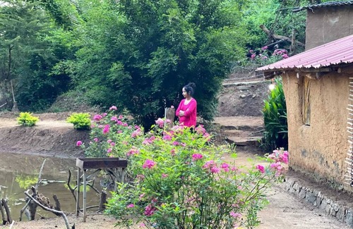 Meemure Bed & Breakfast | welcome to meemure adventure park