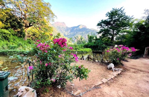 Meemure Bed & Breakfast | welcome to meemure adventure park