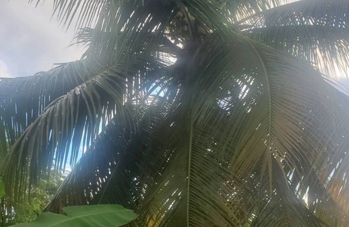 Old Harbour House | Welcome to our villa, enjoy the local vibes, AC, WIFI, hot water, cable.n