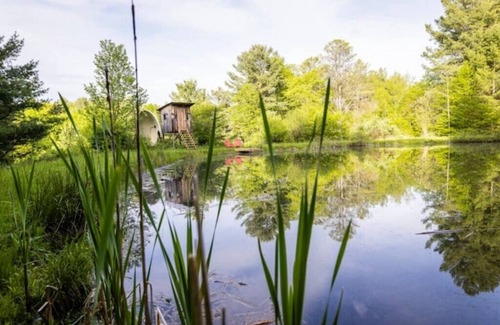 Black Creek House | Welcome to Rosebud Retreat!
