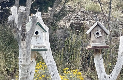 Pine Valley Cottage | Welcome to “The Cubbie Hole!” HOLY COW dogs stay for FREE!