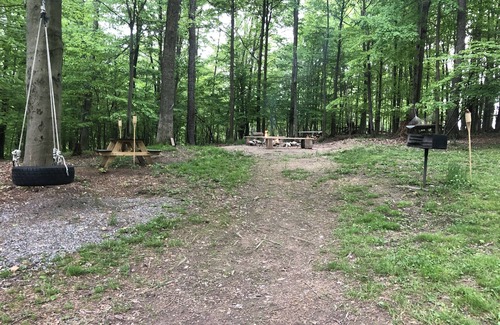 Portland Mills House | Welcome to the Lake City Cabin!